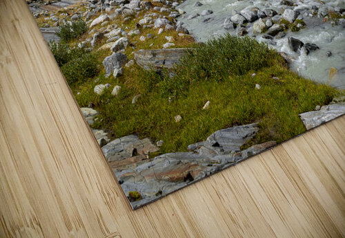 river near the Fellaria glacier  Gualtiero Boffi puzzle