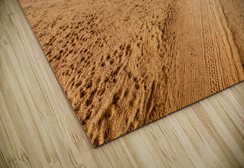 track in the desert of Wadi Rum Gualtiero Boffi puzzle