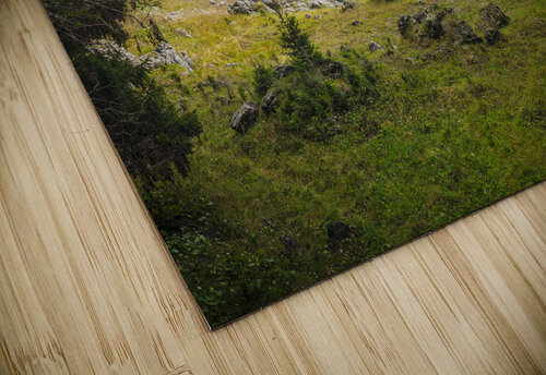 carezza lake in italy Gualtiero Boffi puzzle