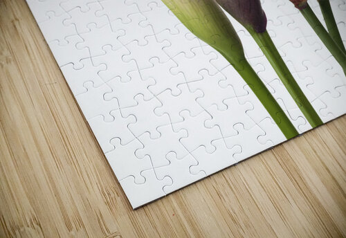 Calla Lilies Assaf Frank puzzle
