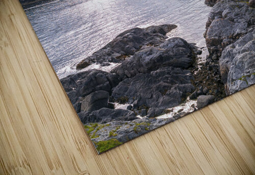 Norwegian Fjord Assaf Frank puzzle