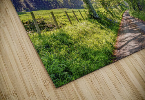 Countryside Road Assaf Frank puzzle