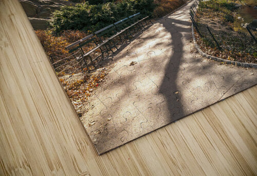 Central Park Assaf Frank puzzle