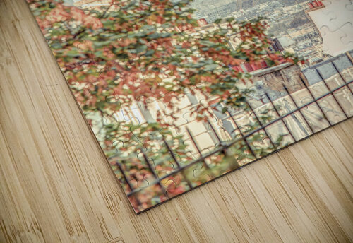 Eiffel Tower Through Trees Assaf Frank puzzle