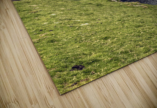 cliff view in faroe  Gualtiero Boffi puzzle
