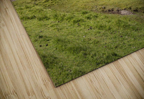 fisherman houses  in faroe Gualtiero Boffi puzzle