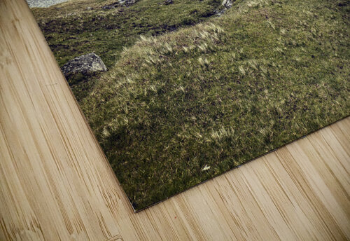 farm wind in faroe  Gualtiero Boffi puzzle