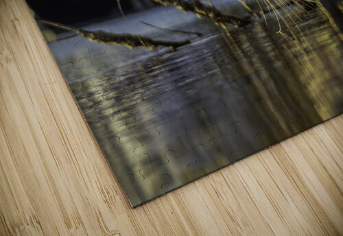Sunny Heron Kai Hoskins puzzle