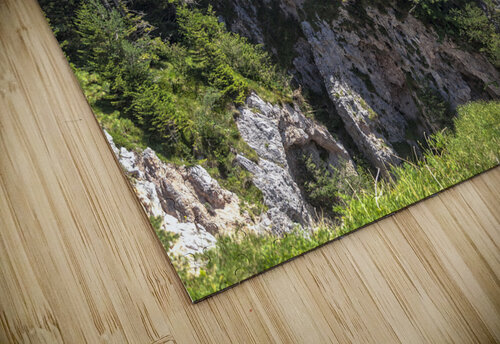 view of sciury Gualtiero Boffi puzzle