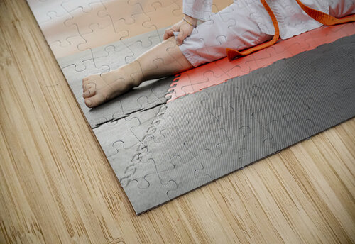 Young girl practicing karate split in dojo Gualtiero Boffi puzzle