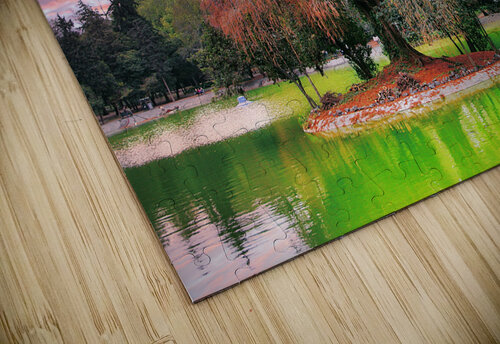 Tree in the green lake Ehtiram Mammadov puzzle