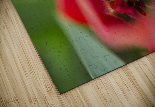 Red Tulip Macro Abstract Iris H Richardson puzzle