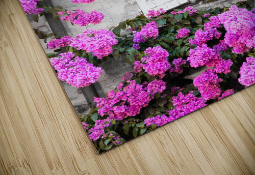 Blooming bouganville flower in summer season Paolo Modena puzzle