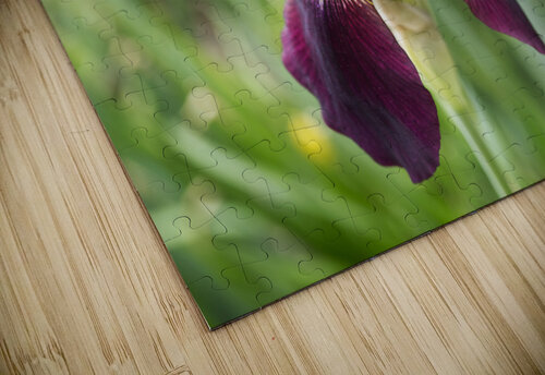 Purple Iris Flower Landscape  Iris H Richardson puzzle