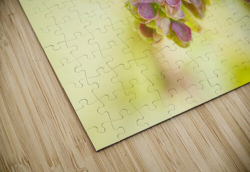 Pink Blueberry Buds with Green Pastel Iris H Richardson puzzle