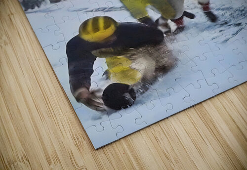 1950 Michigan Ohio State Snow Game Row One Brand puzzle