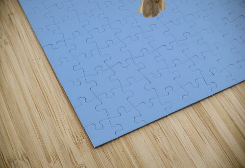 Soaring David Northall puzzle