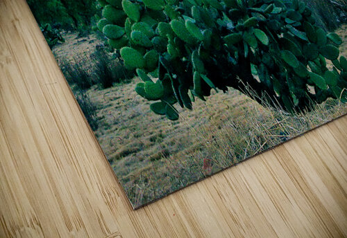 Mayan TEmple Ehtiram Mammadov puzzle