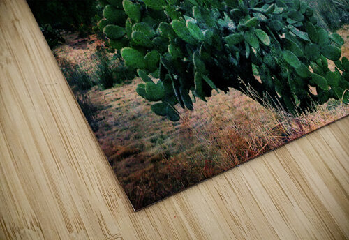 Sun Pyramid Ehtiram Mammadov puzzle