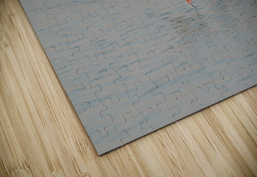 BZ9 8960 Enhanced NR Susan Lynn Cooke puzzle