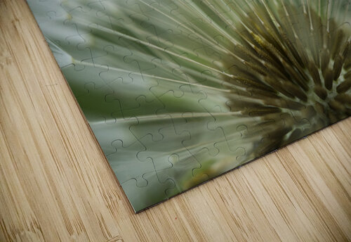 Dandelion Puffball Fan Iris H Richardson puzzle