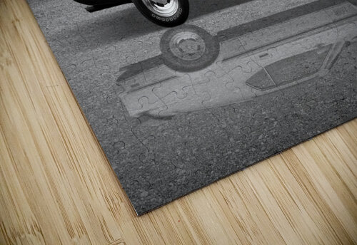 Mach 1 Mustang Reflections in Black and White Gill Billington puzzle