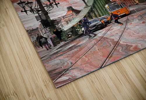 Bridge Budapest  Ehtiram Mammadov puzzle