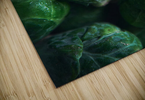 Brussels sprouts close up Kata Endrodi Photography puzzle