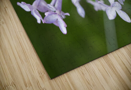 VioletLilacFlower0421 IrisRichardson Iris H Richardson puzzle
