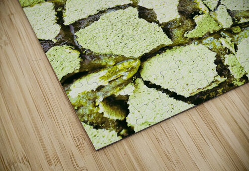 Matcha Lemon Bars Christine Loertscher puzzle