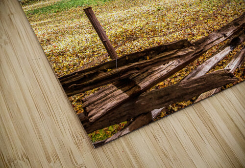 What are You Staring At Thea Menagh puzzle