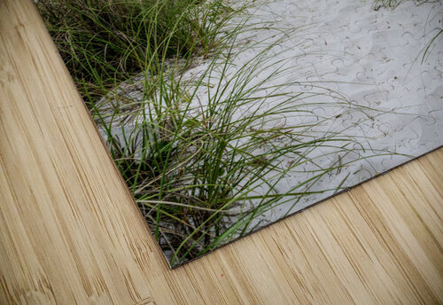 Destin White Sand Path To The Beach Jennifer White puzzle