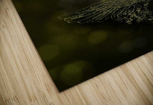 Southern Miss Golden Eagle Art Row One Brand puzzle