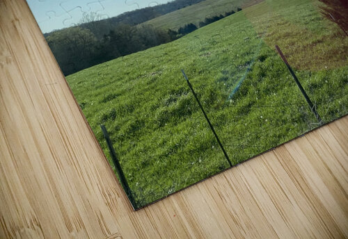 D8D56DF9 79E7 4AFA 92D8 211F40EEC610 BCreativeLori puzzle