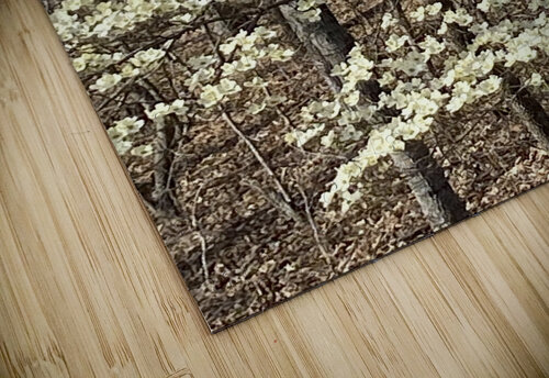 3BFC7E39 8F36 4605 99AF 47CB4C46BED7 BCreativeLori puzzle