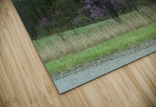 24960C0C AE0A 4248 A807 831F35B2B854 BCreativeLori puzzle