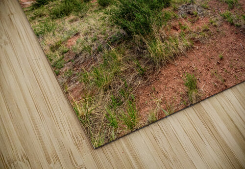 Stormy Skies At Red Rock Canyon Jennifer White puzzle