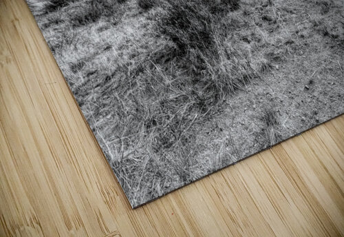 Stormy Skies At Red Rock Canyon Grayscale Jennifer White puzzle
