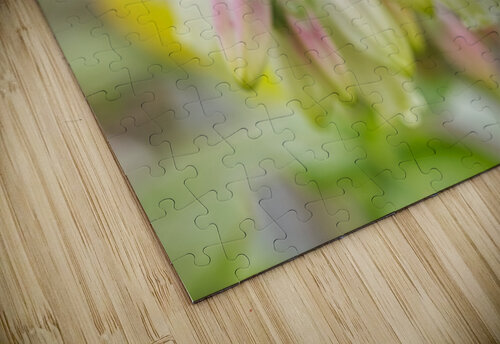 Pastel Blueberry Flower Cluster 0425 Iris H Richardson puzzle