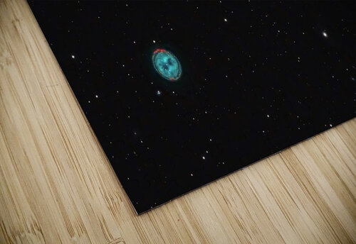 Owl  & Surfboard Mark Killion puzzle