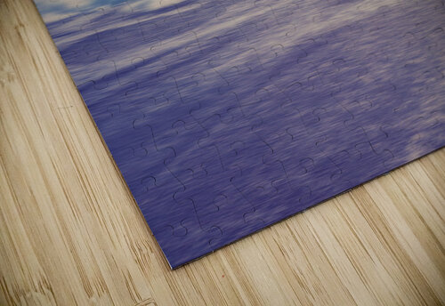 Palm Beach Waves Cat van Kay puzzle