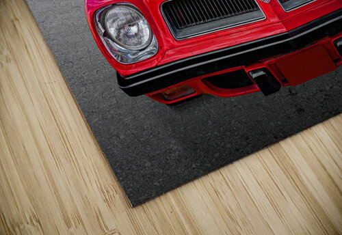 1974 Pontiac Firebird Formula 400 Head On Gill Billington puzzle