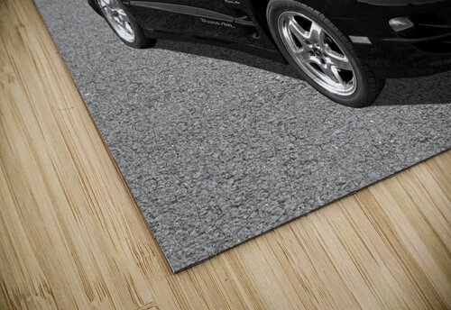 Pontiac Trans Am Ram Air in Black and White Gill Billington puzzle