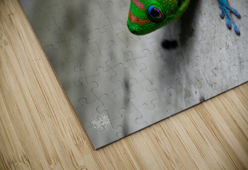 15 Percent or More Nate Solo puzzle