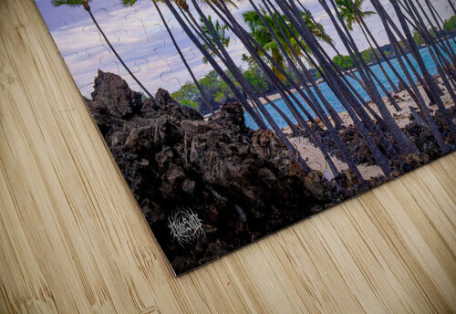 From the Ashes Nate Solo puzzle