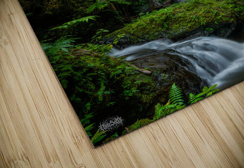 Now You Are Like Me Nate Solo puzzle