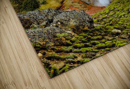 Yellowstone Hot Springs Fumaroles Norma Brandsberg Photography puzzle