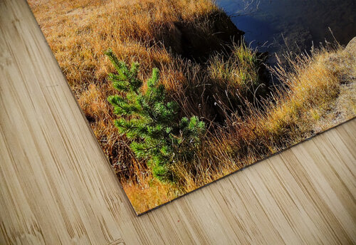 Lake Tahoe Desert Grass Marsh Norma Brandsberg Photography puzzle