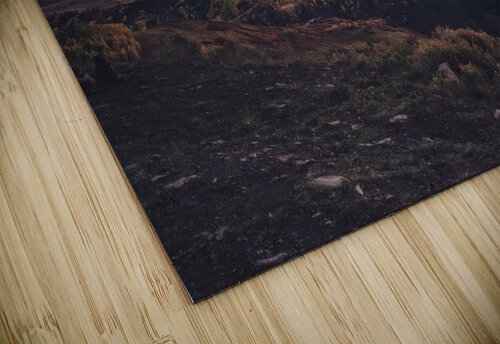 Colorado Mistakes and Lessons Learned Norma Brandsberg Photography puzzle