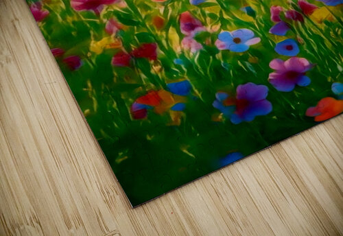 Summer Fields Millie R Lissow puzzle